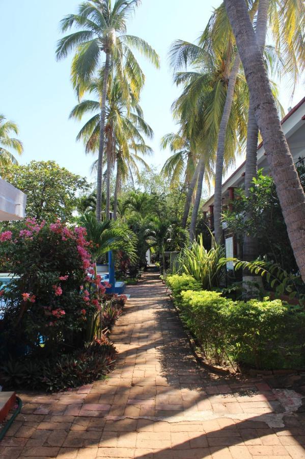 Hotel Albatros Puerto Escondido  Zewnętrze zdjęcie